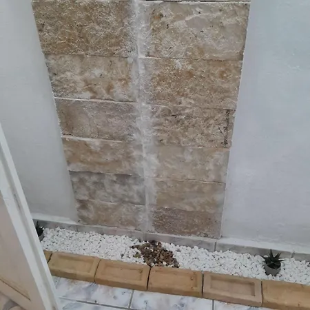 Anatoli In Front Of The *